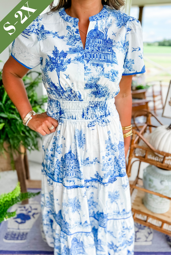CINDY | Toile Maxi Dress